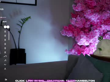 girl cam all day taitehambelton image #9492518