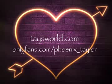 girl cam all day phoenix_taylor image #3336577