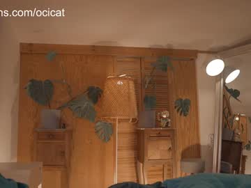 girl cam all day ocicat image #4972092