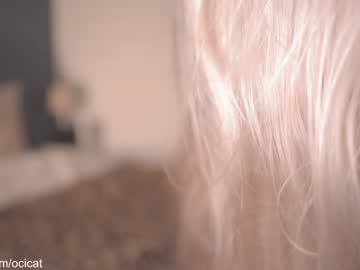 girl cam all day ocicat image #2654199