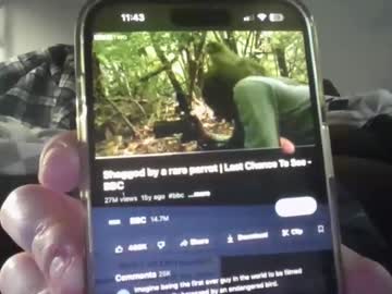 girl cam all day rachel_333 image #8869139