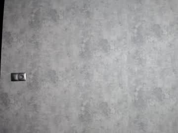 girl cam all day nika_lodge image #2792899