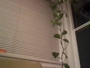 girl cam all day bambis_honeypot image #946861