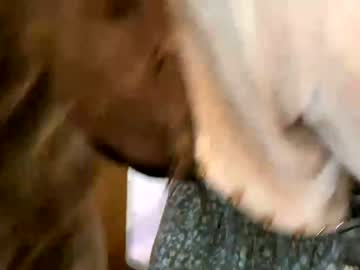 girl cam all day emersoncane image #1610914