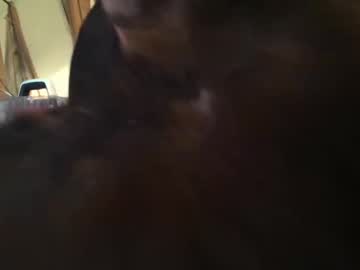 couple cam all day phattpinktaco image #3739133