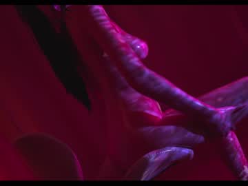 girl cam all day sophia_lean image #6492861
