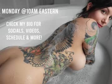 girl cam all day harliequinnx image #8044166