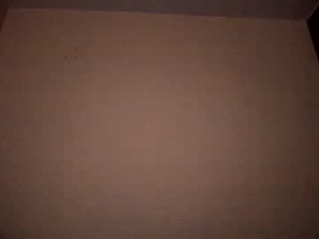 couple cam all day shiroandviduka image #1364415