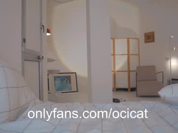 girl cam all day ocicat image #7836709