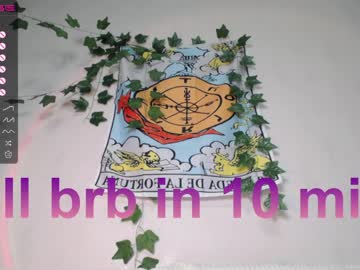 girl cam all day shycinderella image #3632195