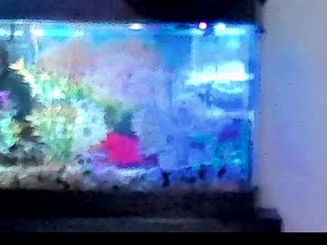 girl cam all day nebamazee image #1684698
