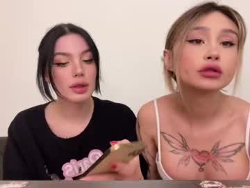 tranny cam all day amysplit image #4013784