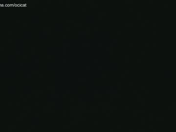 girl cam all day ocicat image #4243213