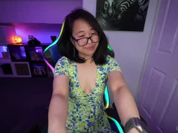 girl cam all day naughtynerdygirl image #4151957