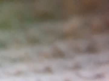 man cam all day theboyjacc image #882500