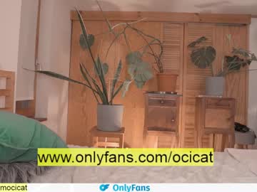 girl cam all day ocicat image #2451910