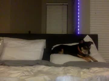 girl cam all day your_little_bunnyxx image #1850310