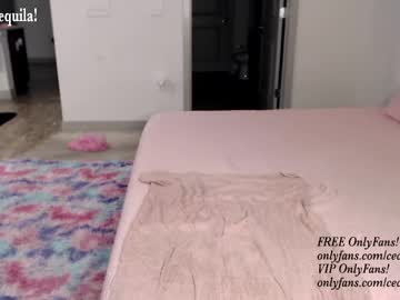 girl cam all day princess_cece image #4986636