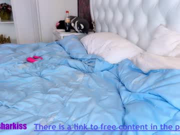 couple cam all day dasharkiss image #2578699