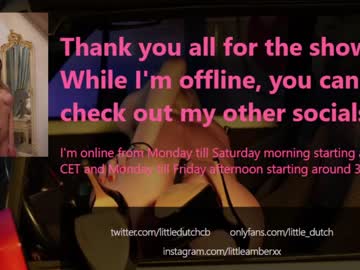 girl cam all day little_dutch image #2833768