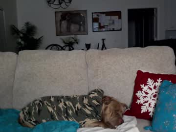 girl cam all day holihurricane image #8407072
