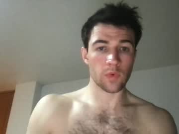 man cam all day bullgrey009 image #2589947