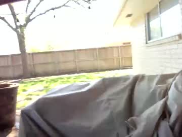 girl cam all day miss_bee image #4090029