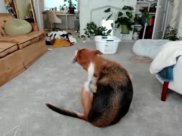 girl cam all day pretendlunch image #2773376