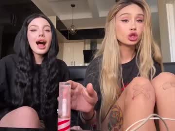 tranny cam all day amysplit image #2657809