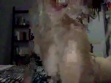 tranny cam all day bombshellbae88 image #3172081