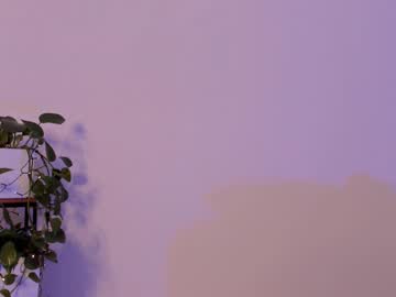 girl cam all day elizabeth__gray image #3481341