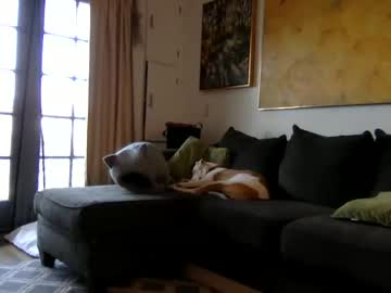 girl cam all day missykissie image #1703929