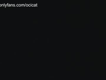 girl cam all day ocicat image #4529438